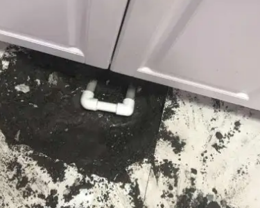 洋县查漏水哪家好